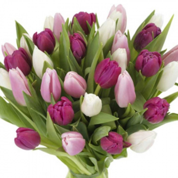 Букет MIX из 31 тюльпана